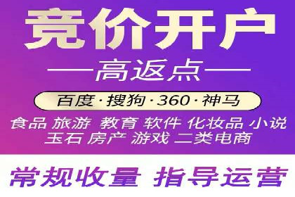 百度广告投放策略：成功案例解析